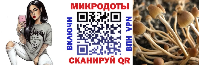 Псилоцибиновые грибы ЛСД  купить наркотики цена  Сухой Лог 